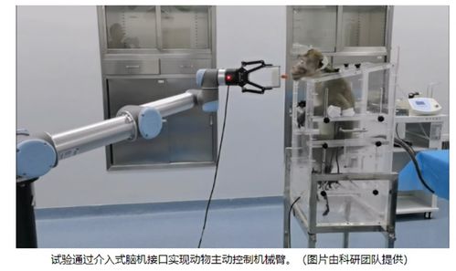 脑机接口站上风口 多家上市公司 抢跑